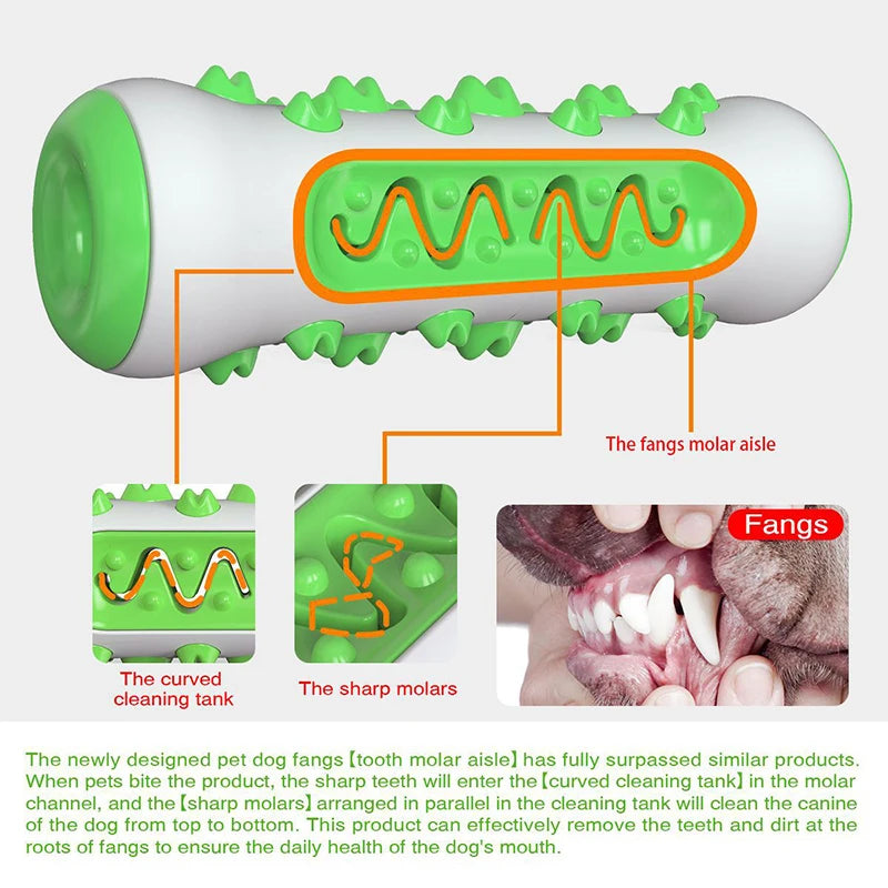 Chewing Toy for Dog