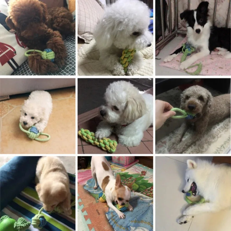 Interactive Cotton Rope Dog Toys