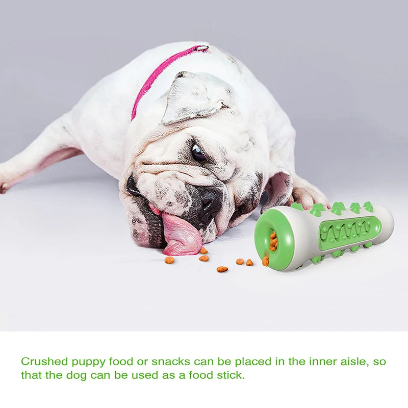 Chewing Toy for Dog