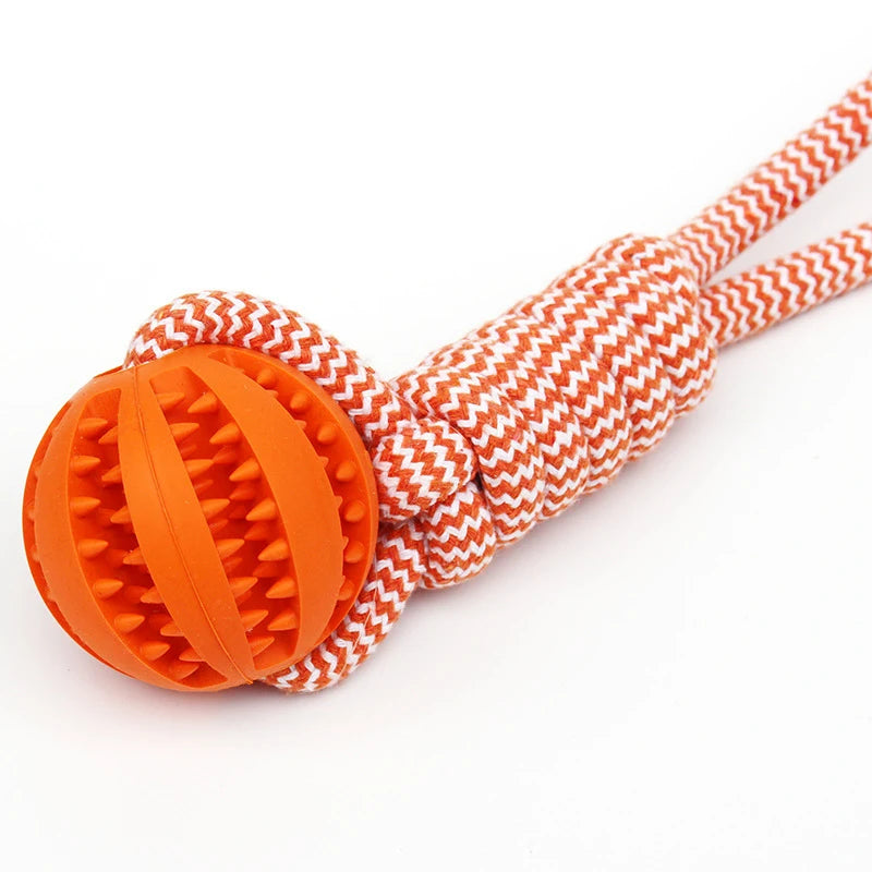 Pet Tooth Cleaning Ball with Rope