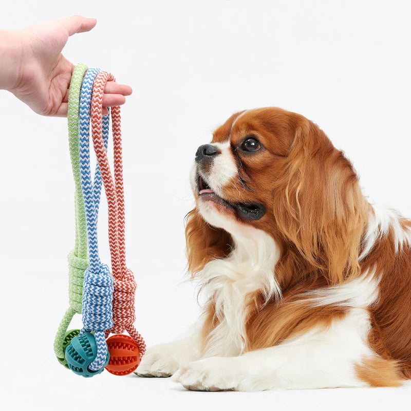 Pet Tooth Cleaning Ball with Rope