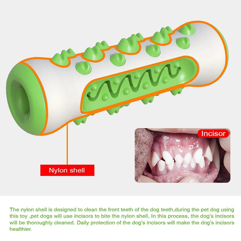 Chewing Toy for Dog