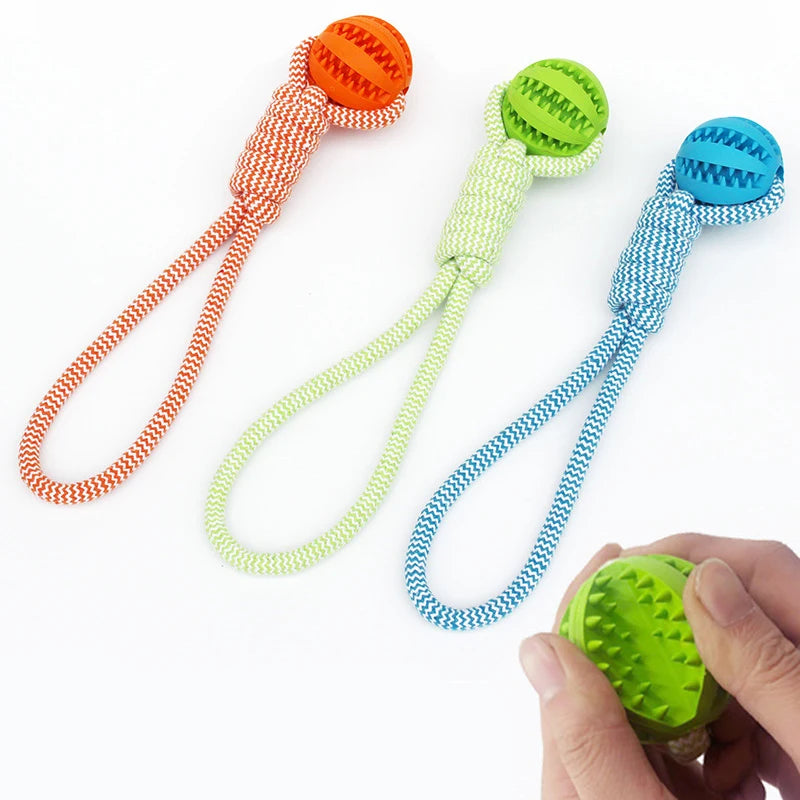 Pet Tooth Cleaning Ball with Rope
