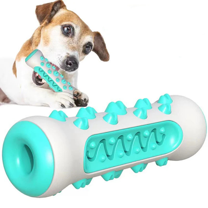 Chewing Toy for Dog