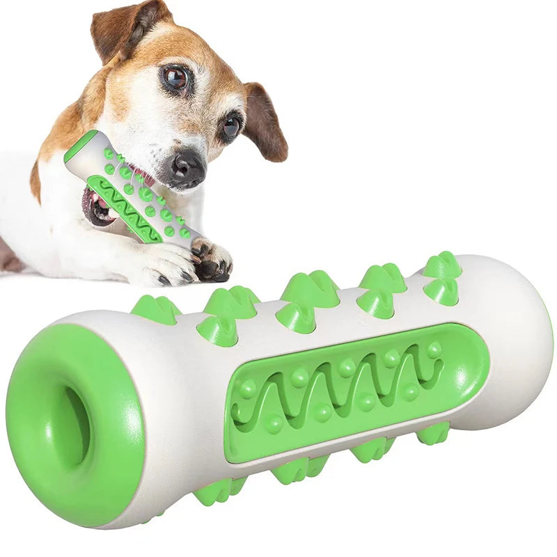 Chewing Toy for Dog