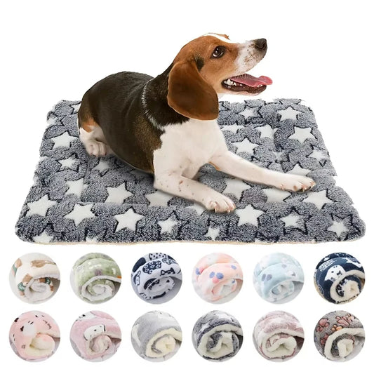 Ultra Soft Coral Velvet Pet Blanket