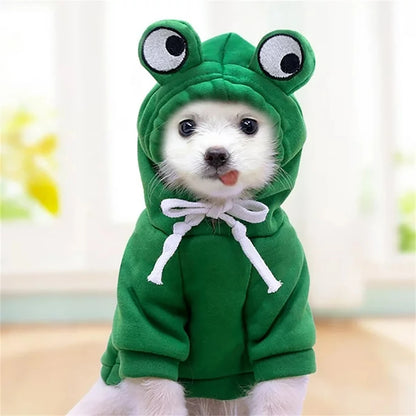 Cute Frog Hoodie for Pet