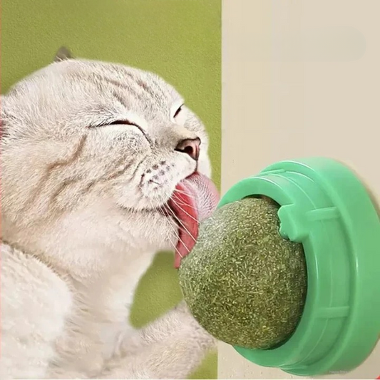 Natural Catnip Wall-Mounted Scratching Ball