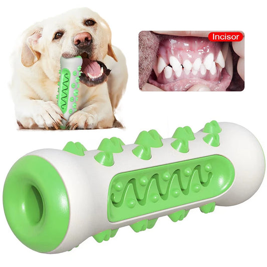 Chewing Toy for Dog