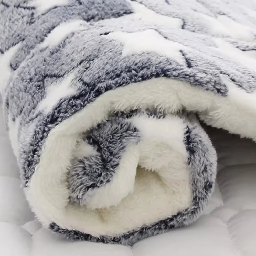 Ultra Soft Coral Velvet Pet Blanket