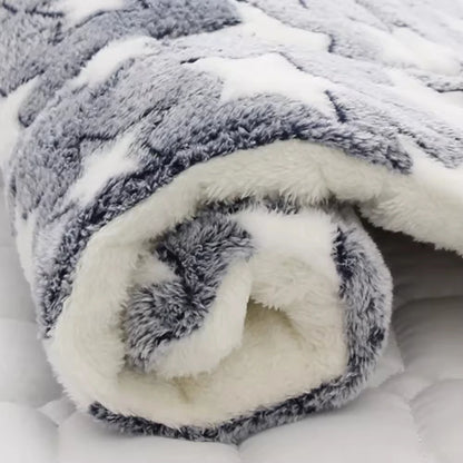 Ultra Soft Coral Velvet Pet Blanket