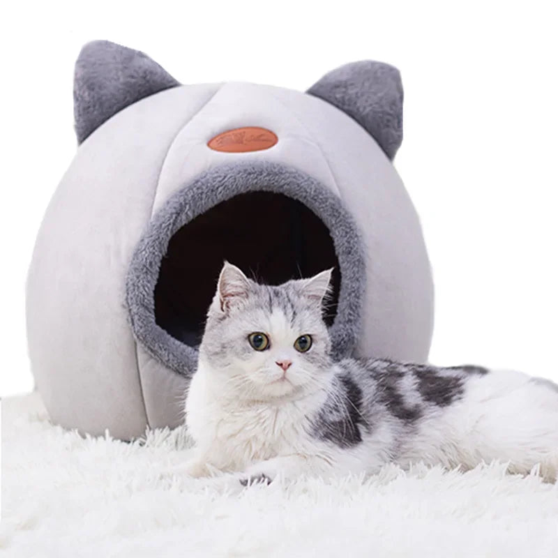 Non-Slip Pet Bed