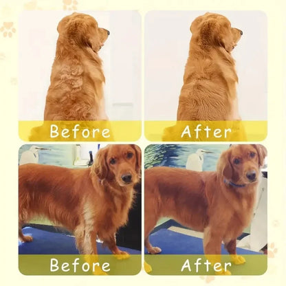 3-in-1 Steamy Dog Brush
