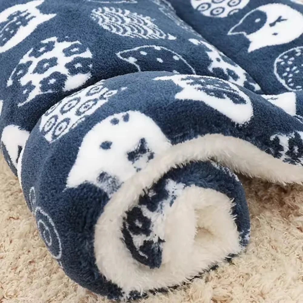 Ultra Soft Coral Velvet Pet Blanket
