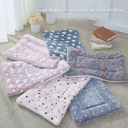 Ultra Soft Coral Velvet Pet Blanket