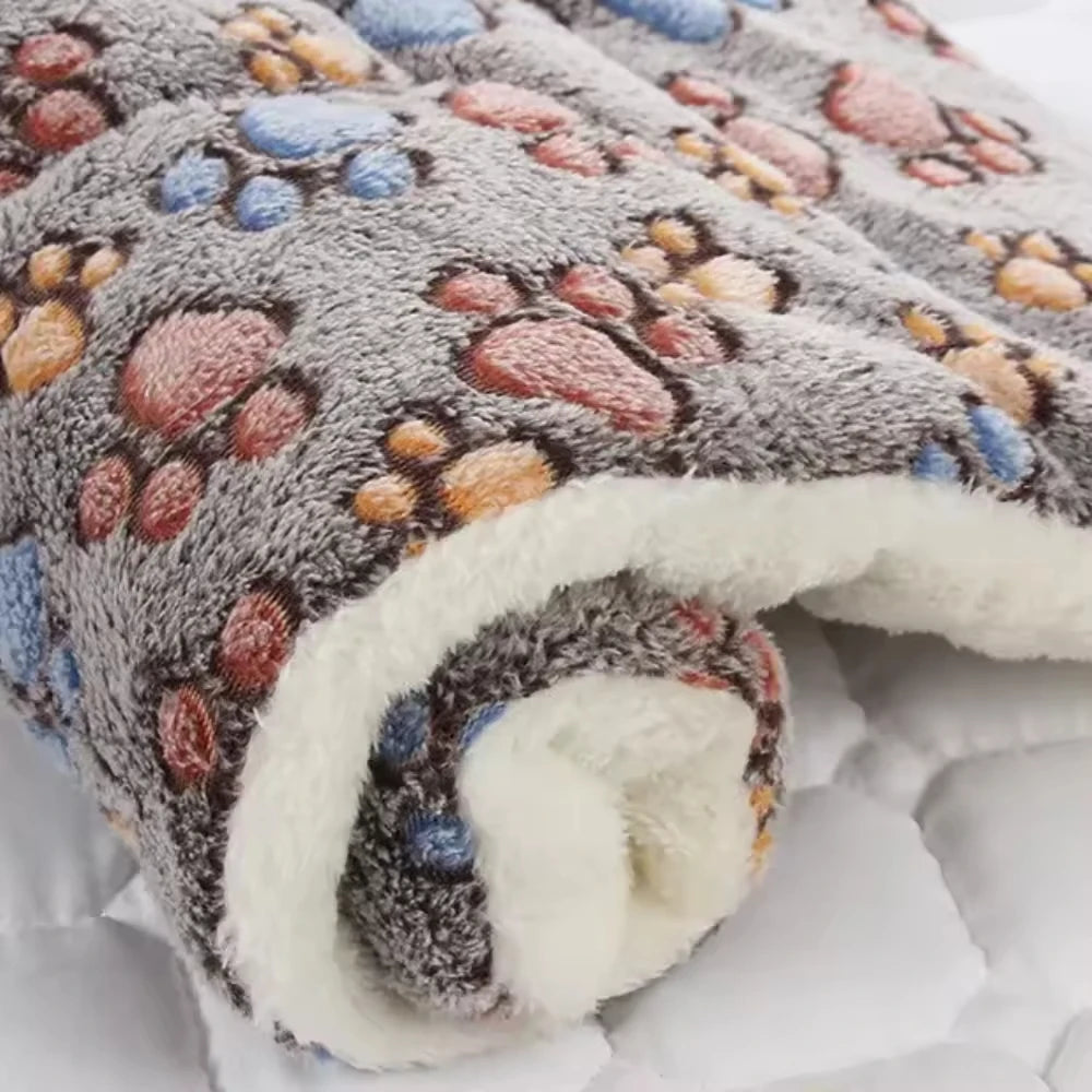Ultra Soft Coral Velvet Pet Blanket