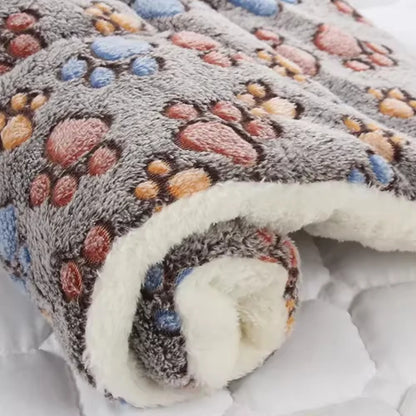 Ultra Soft Coral Velvet Pet Blanket