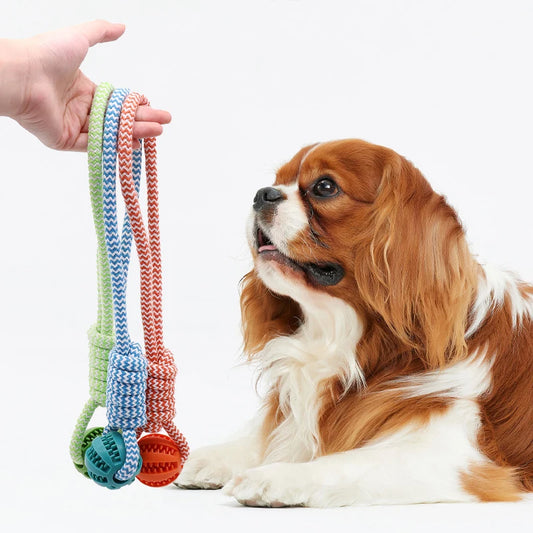 Pet Tooth Cleaning Ball with Rope