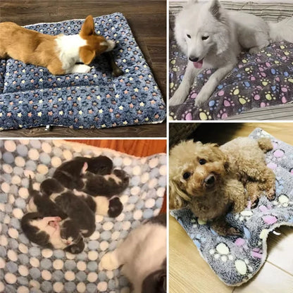 Ultra Soft Coral Velvet Pet Blanket