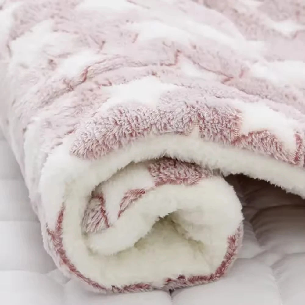 Ultra Soft Coral Velvet Pet Blanket