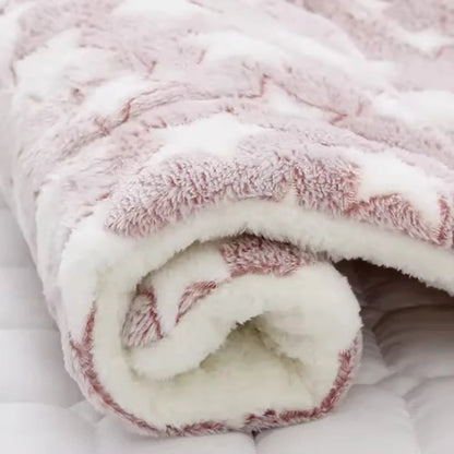Ultra Soft Coral Velvet Pet Blanket